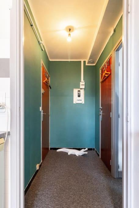 Double Appartement, Saint Michel, Parking, Wifi Toulouse Kültér fotó
